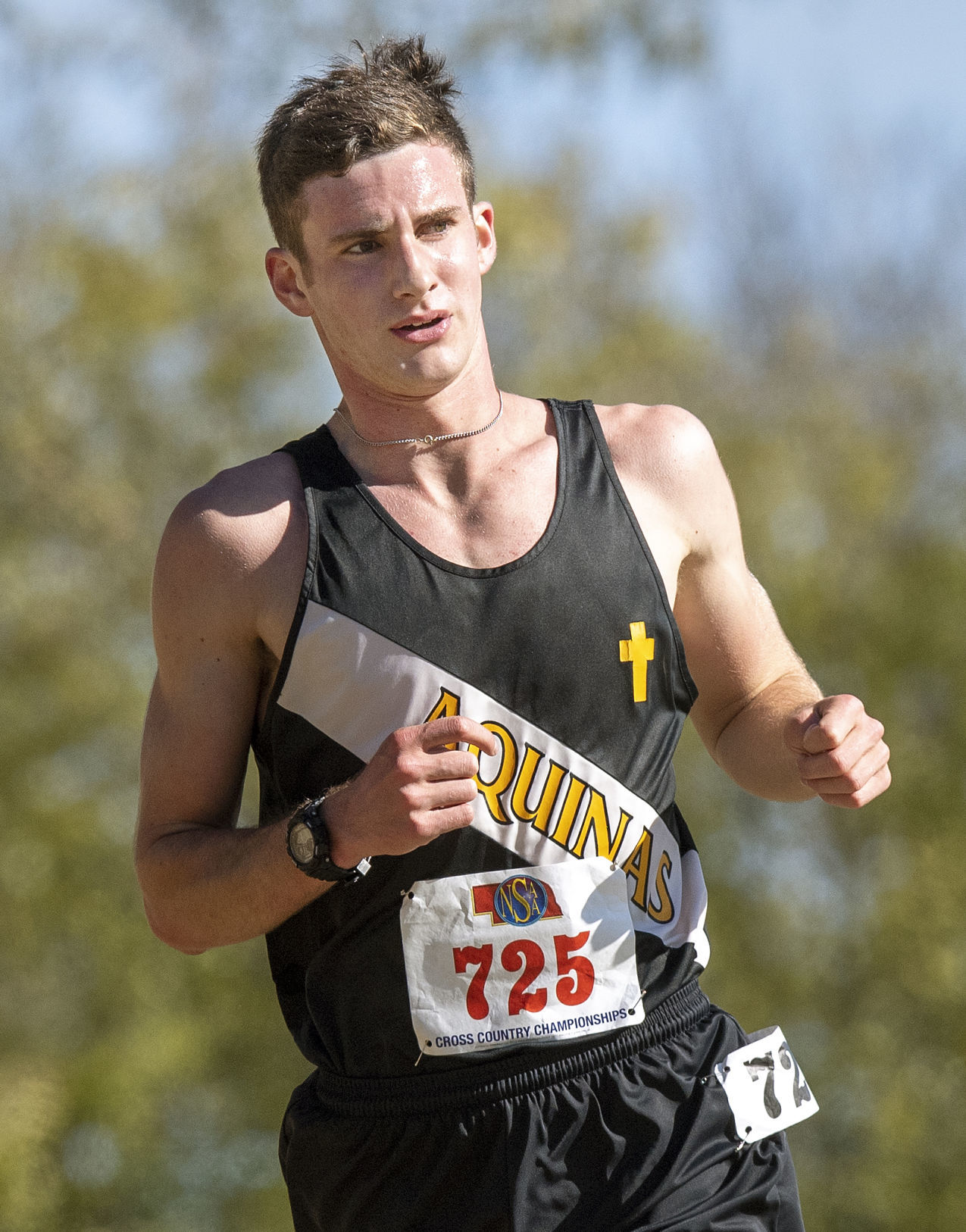 State cross country, 10.25